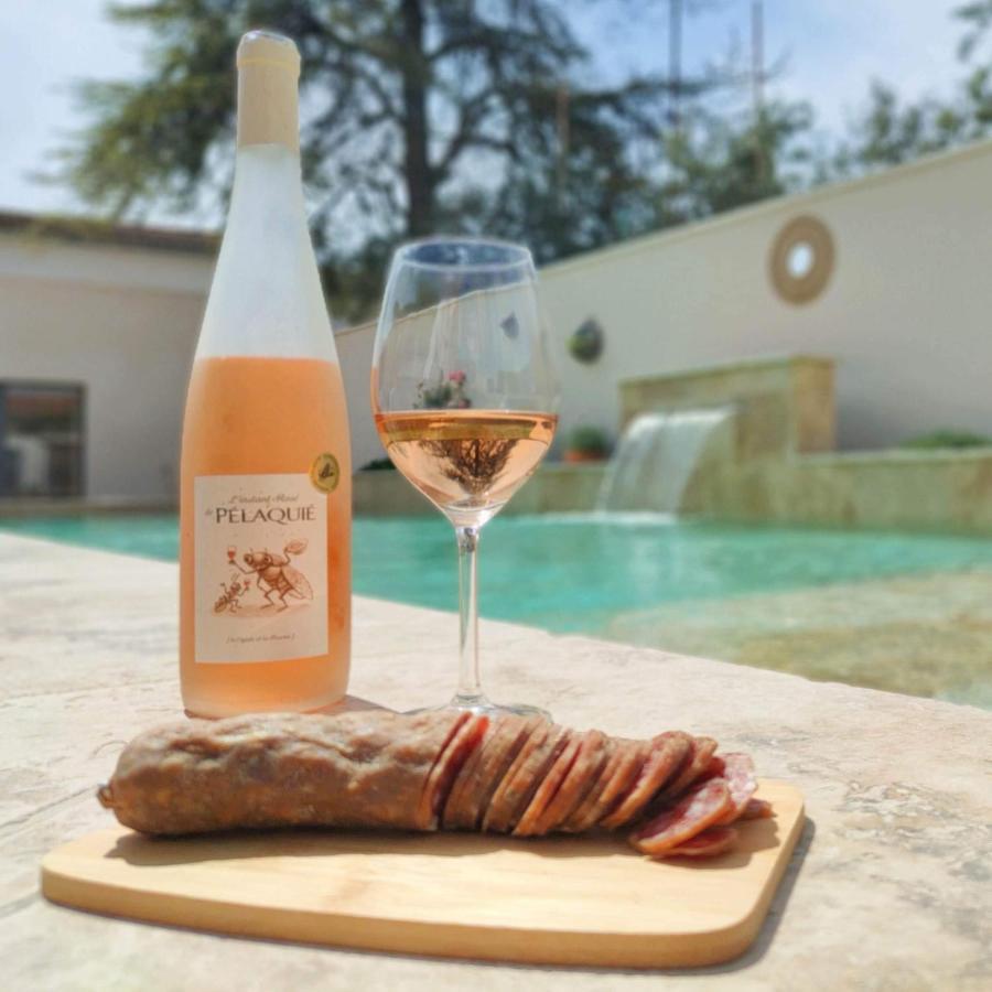 Les Logis De Cocagne Διαμέρισμα Saint-Rémy-de-Provence Εξωτερικό φωτογραφία